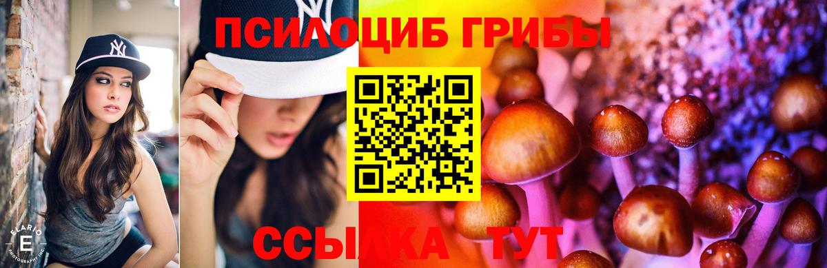 Псилоцибиновые грибы Cubensis Урус-Мартан