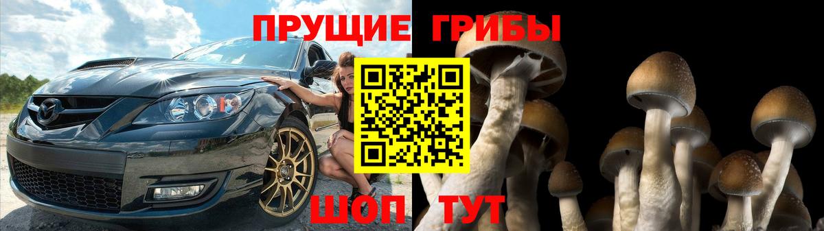 Псилоцибиновые грибы мухоморы  Вход с VPN  где найти   Урус-Мартан 