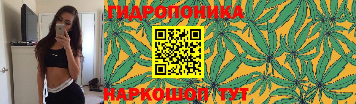 Урус-Мартан  Конопля OG Kush  Вход с VPN  Шишки марихуана марихуана 